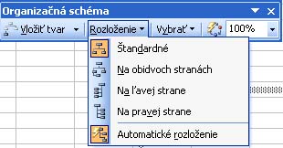  Organizaèn schma